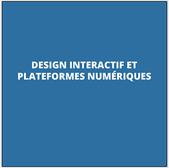 Design interactif et plateformes numériques_2.png