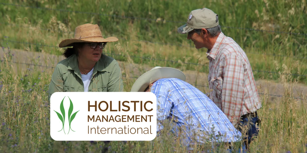Holistic Management International