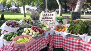 RTF farmers market