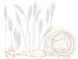 crop_edited_edited.jpg