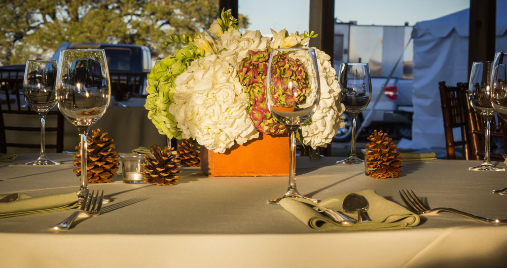 Cultivating Community: Land, Food, Health