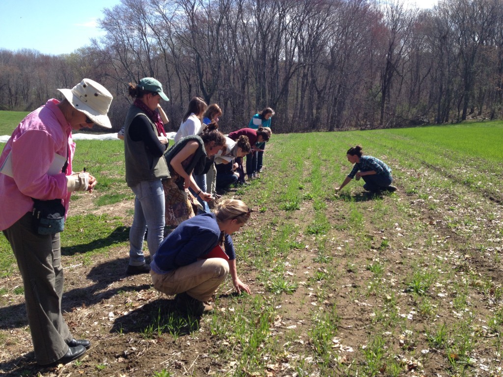 MA Beginning Women Farmers learning about soil fertility