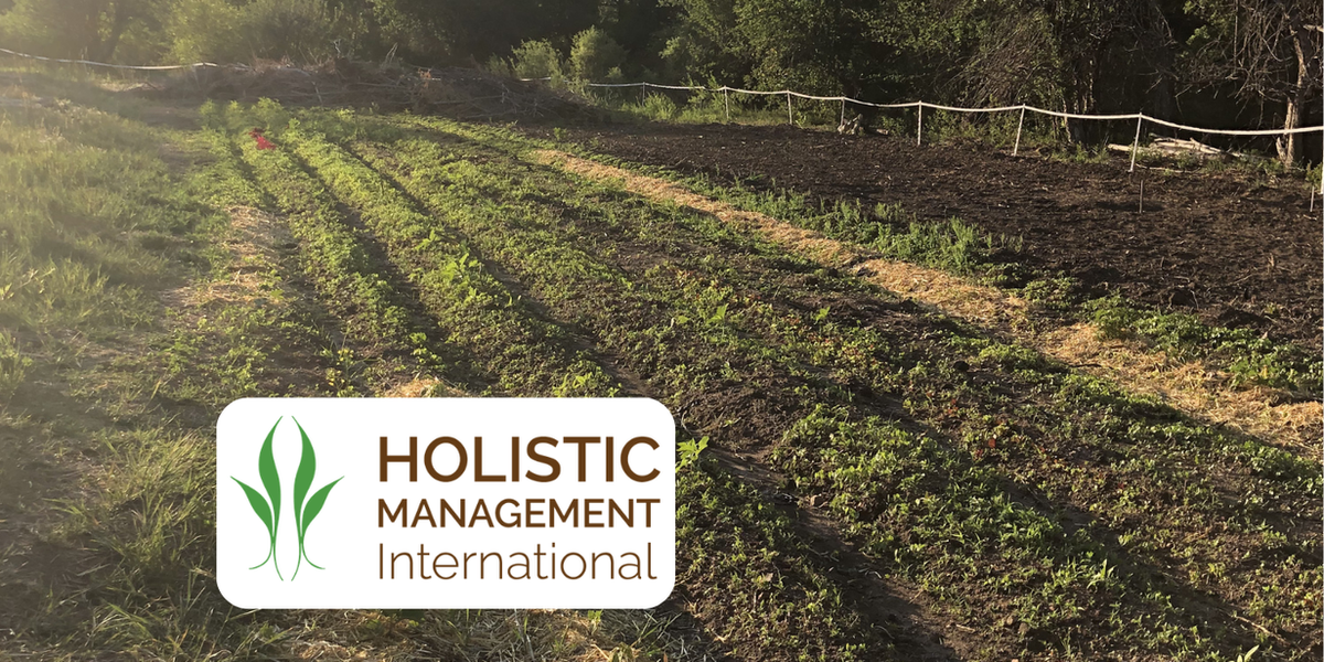 Holistic Management International