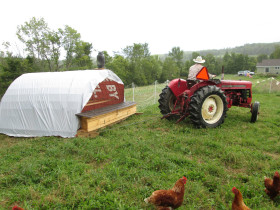 Erin Bradt - Movin the coop, a daily chore