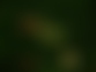 Holistic Management® Key to James Ranch Business and Family Success