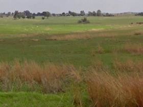 witpoort