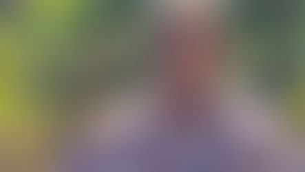 Honoring Tim McGaffic