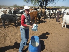Judith at work
