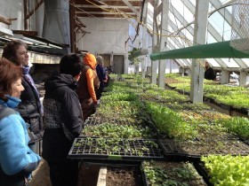 Massachusetts Beginning Women Farmer field day at Natick Farm