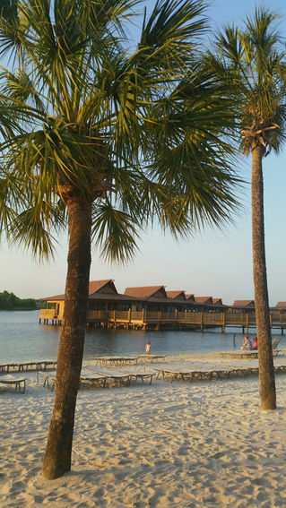 A VIP Tour of the Polynesian Village Bungalows!