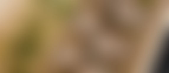 Healthy Turkey Meatballs (and Meatball Sub)