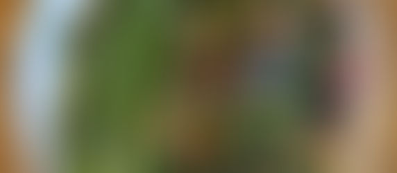 Chimichurri Steak Bowls