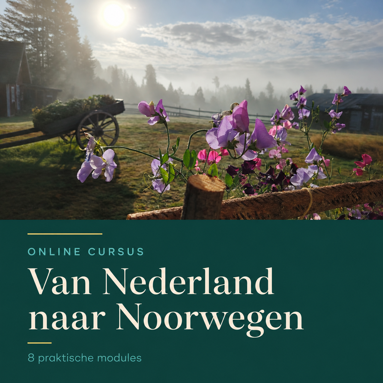 Van Nederland naar Noorwegen – online cursus