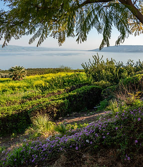Mount of Beatitudes on the Sea of Galilee (Lake Tiberias) where Jesus delivered the Sermon
