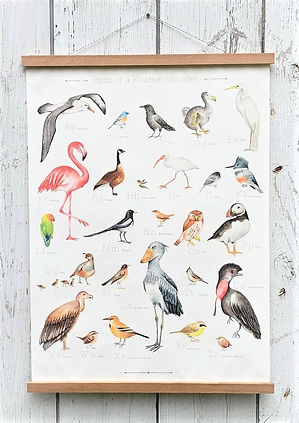 birds.jpg
