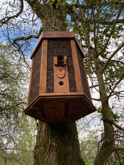 Eco Tree Hive