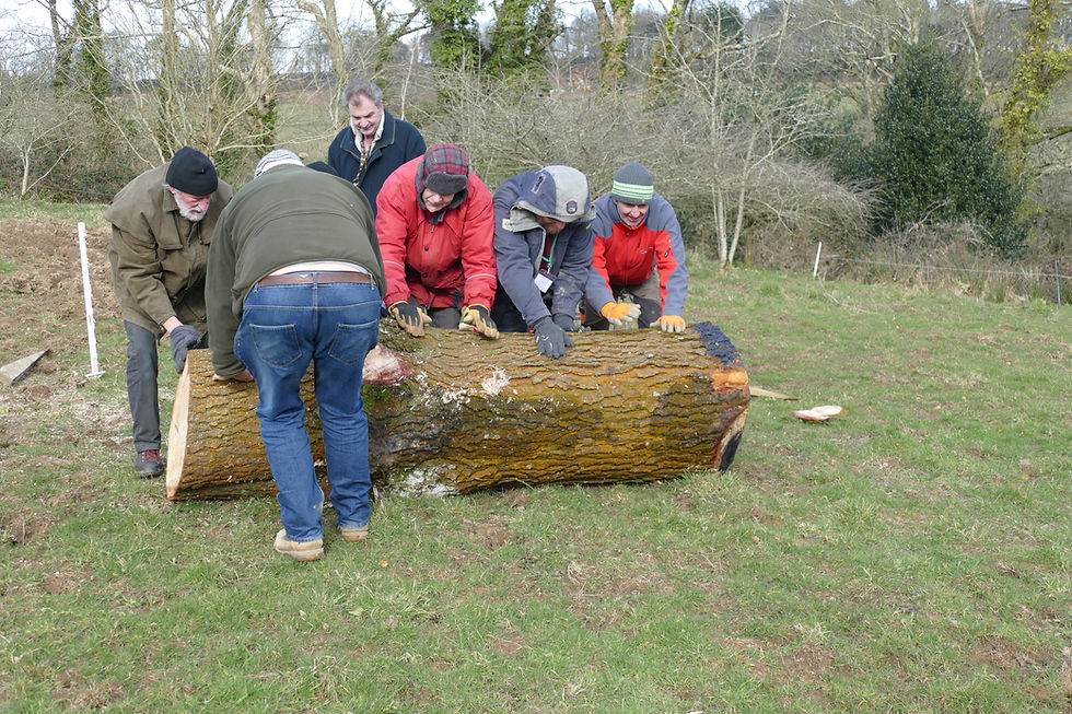 Rolling the log into position
