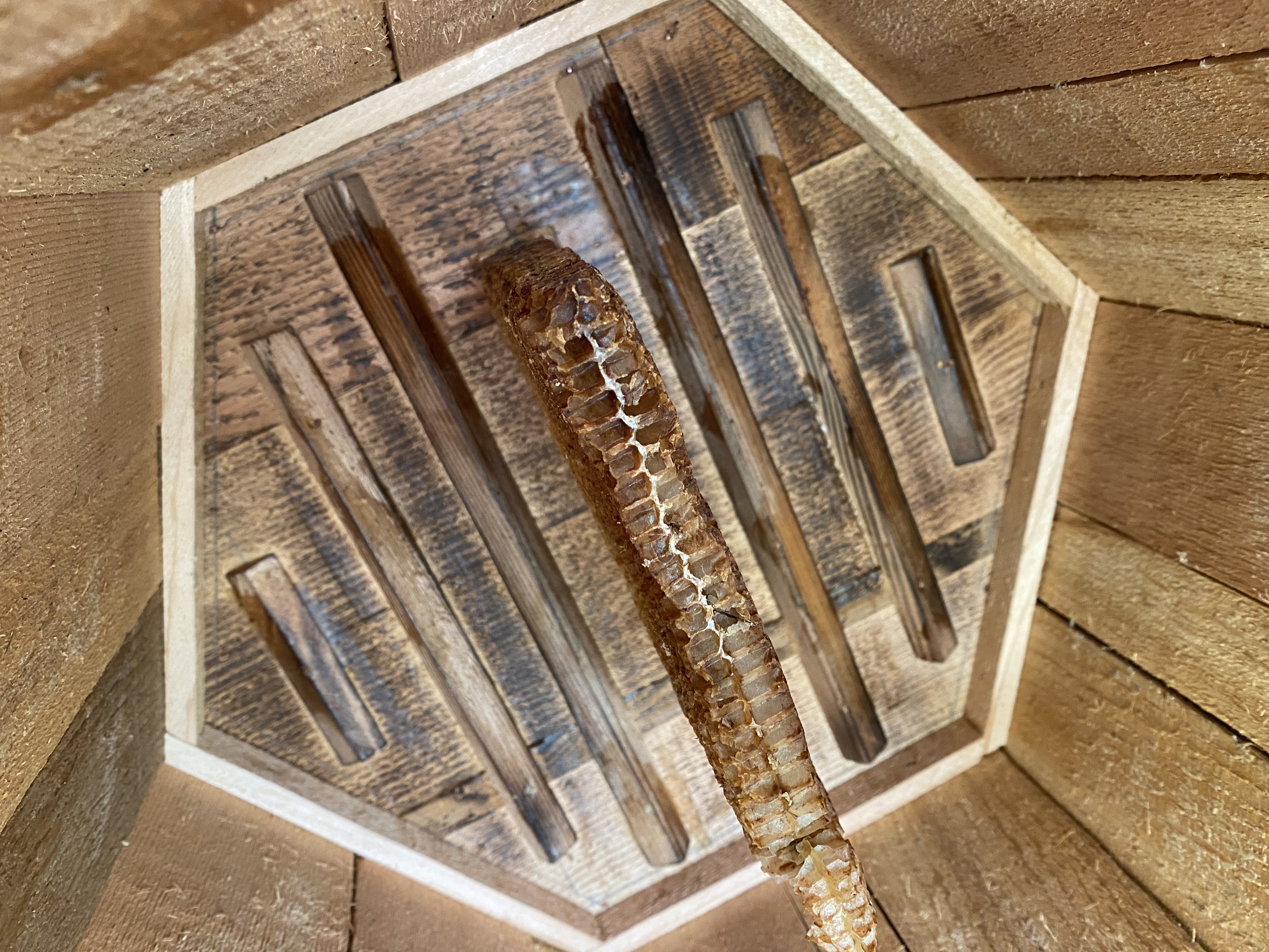 Eco Tree Hive