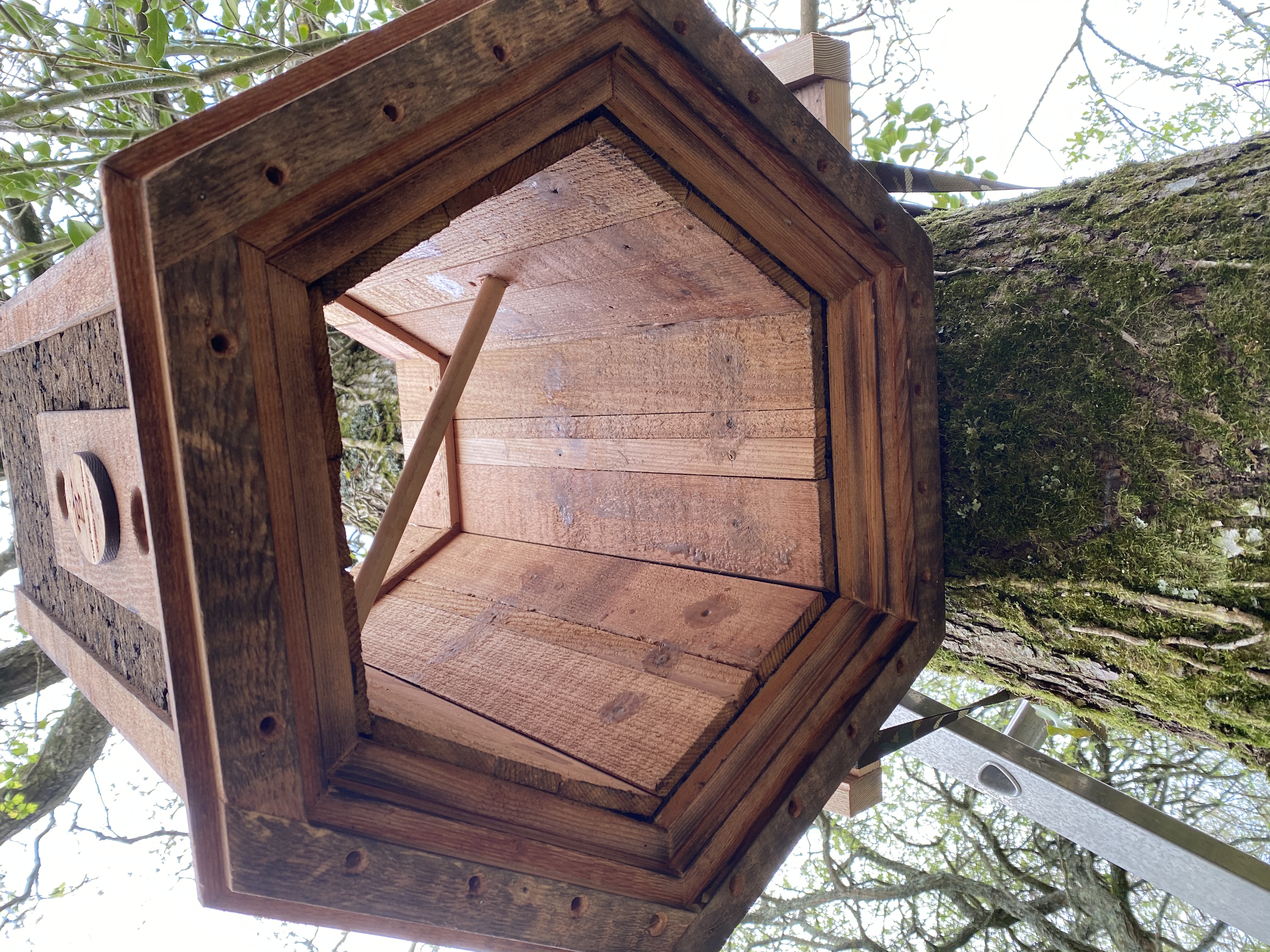 Eco Tree Hive