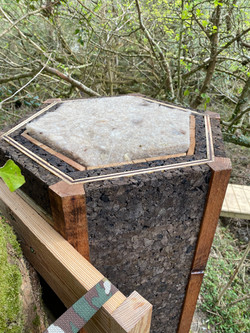 Eco Tree Hive