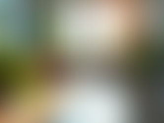 Simple Steps to Make Your Office More Eco-Friendly