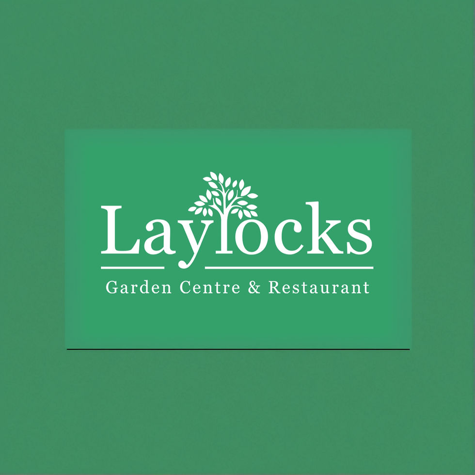 d79609_d0fca1a6621a40038cc012c87ff67e8a~mv2_edited