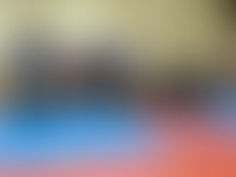 2008 Honolulu International KARATEใ็ฉบๆ