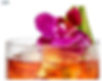 hawaiian Iced Drink/ハワイアンアイスドリンク