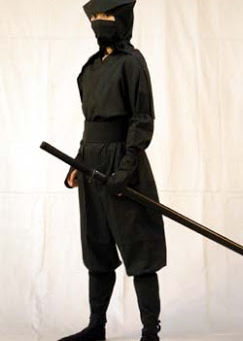 Got Fired Ninja/่งฃ้ใใใๅฟ่