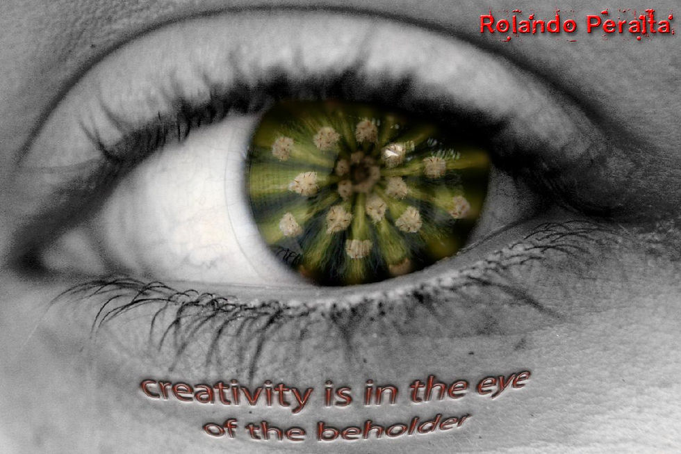 Eye
