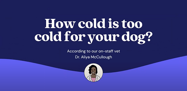 Screenshot 2023-02-16 at 3.42.02 PM.png