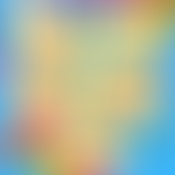 Weekly Activity Plan / Menu week commence 11/11/24