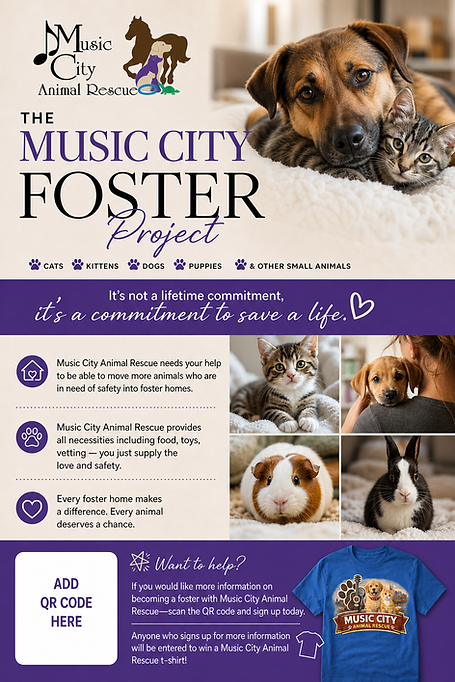 Nashville foster project.png