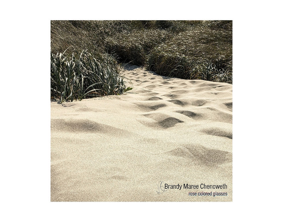 wind on the dunes - dunes city, or_web