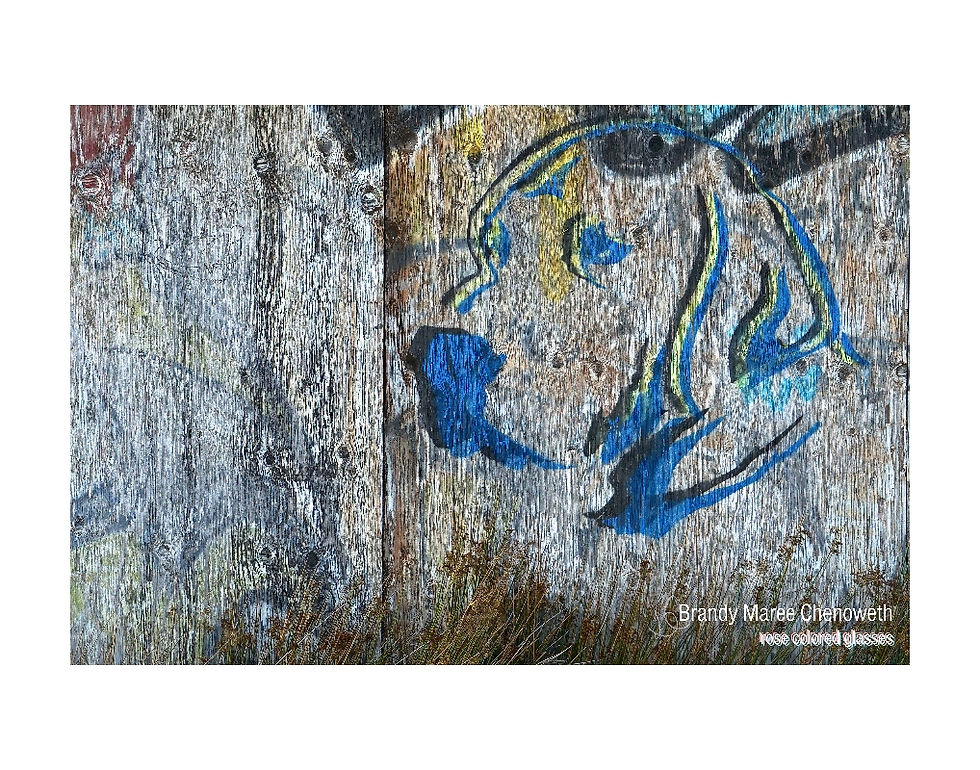 20230917_DSC06167_web