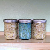 jars of freshly made sauerkraut fermenting on a shelf