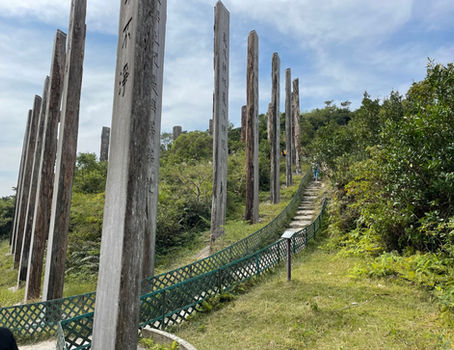 ראיתם פעם דולפינים ורודים? ראיתם פעם בודהה המתנוסס לגובה 34 מטרים? אם לא- זה היום בשבילכם