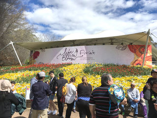 Excursion to Canberra - Floriade