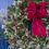 Thumbnail: A Berry Merry Christmas Wreath