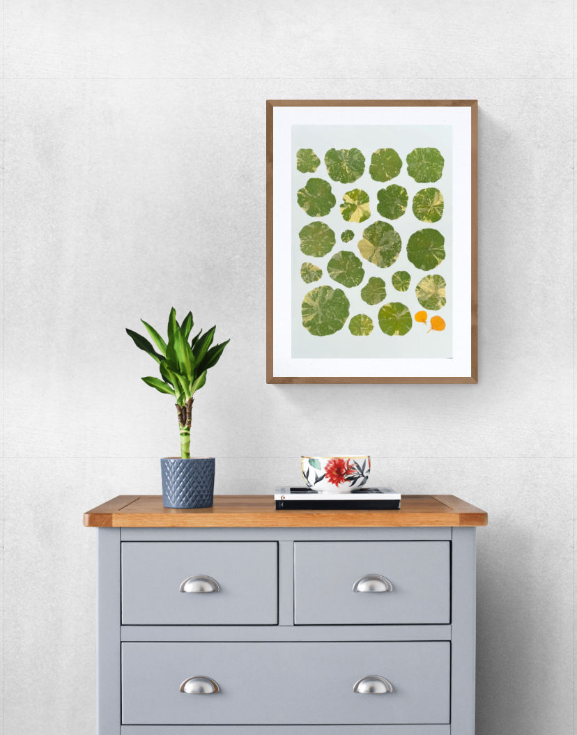 Thumbnail: A room showing a Nasturtium leaf and flower pressed flower giclee print in a frame