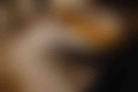 upthorpe-wood-styled-shoot-109