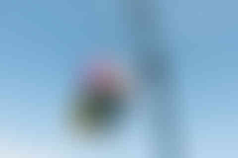 commercial-photographer-essex-clacton-pier4