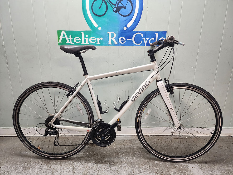 Miniature : Devinci Wellington