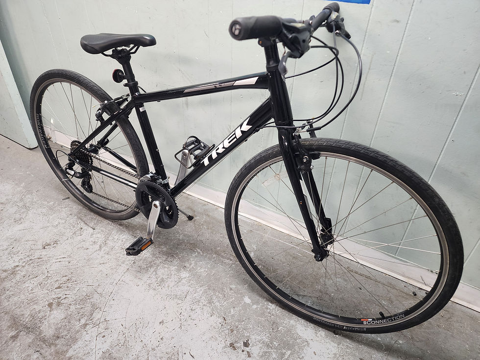 Miniature : Trek FX1
