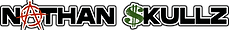 NS3.png