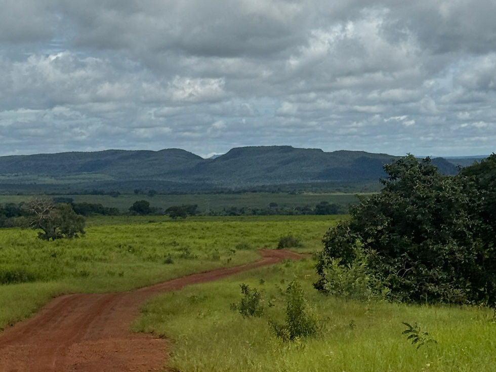 Nova coleta de água e retirada dos amostradores