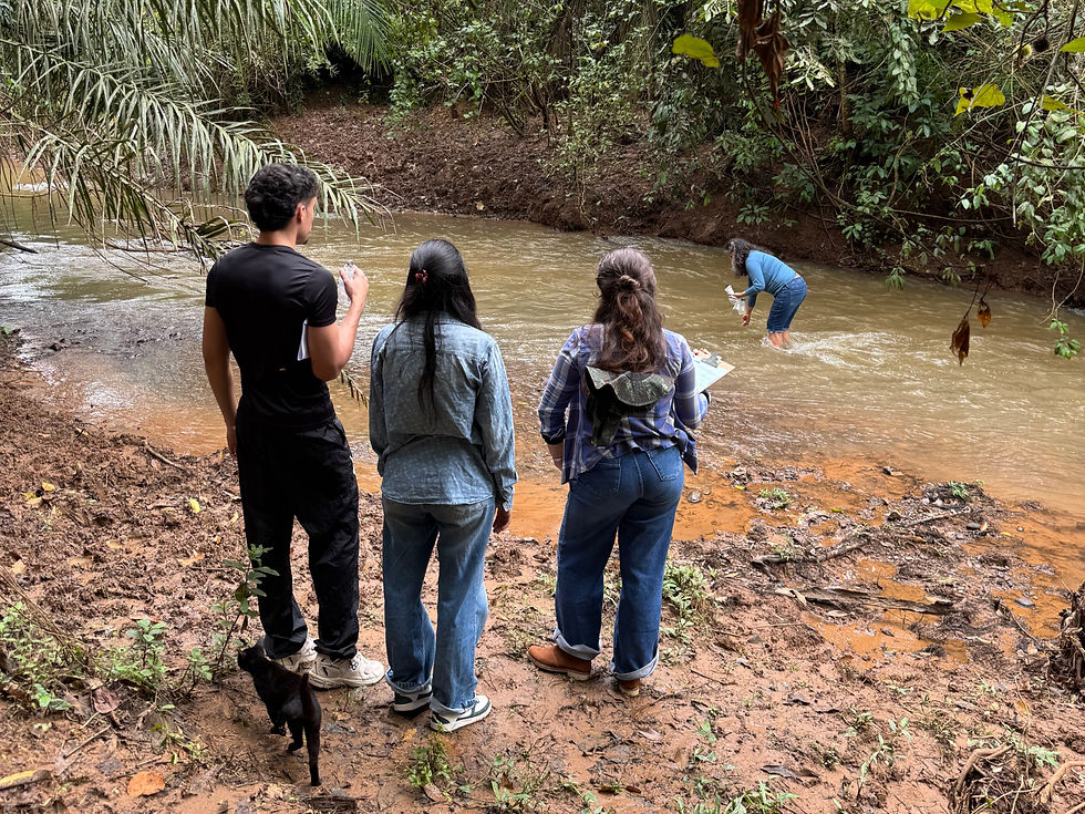 Visita Técnica Lagoinha de Baixo