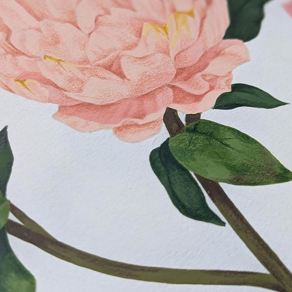 Thumbnail: 'Peony'