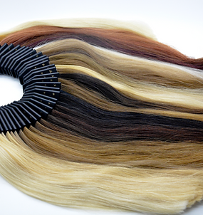 Hair Extension Colours