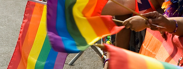 Rainbow flag